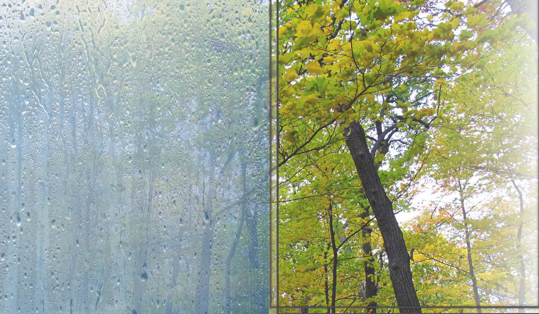 difference between double glazing and single glazed window.